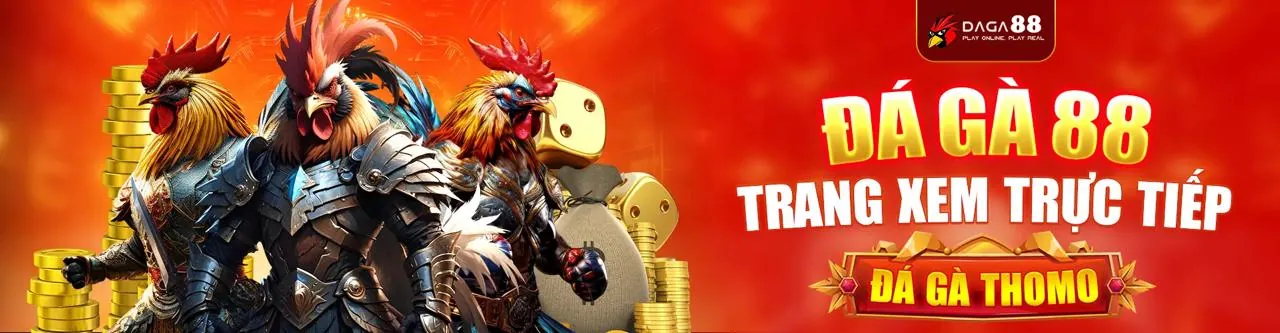 Đá Gà Trực Tiếp trên bin88 app